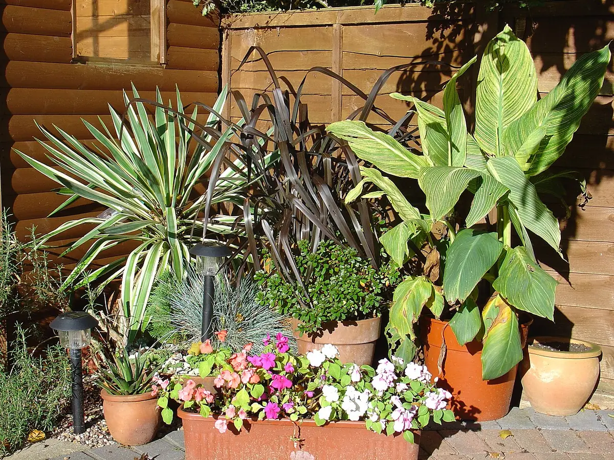 Patio pots (61553005)