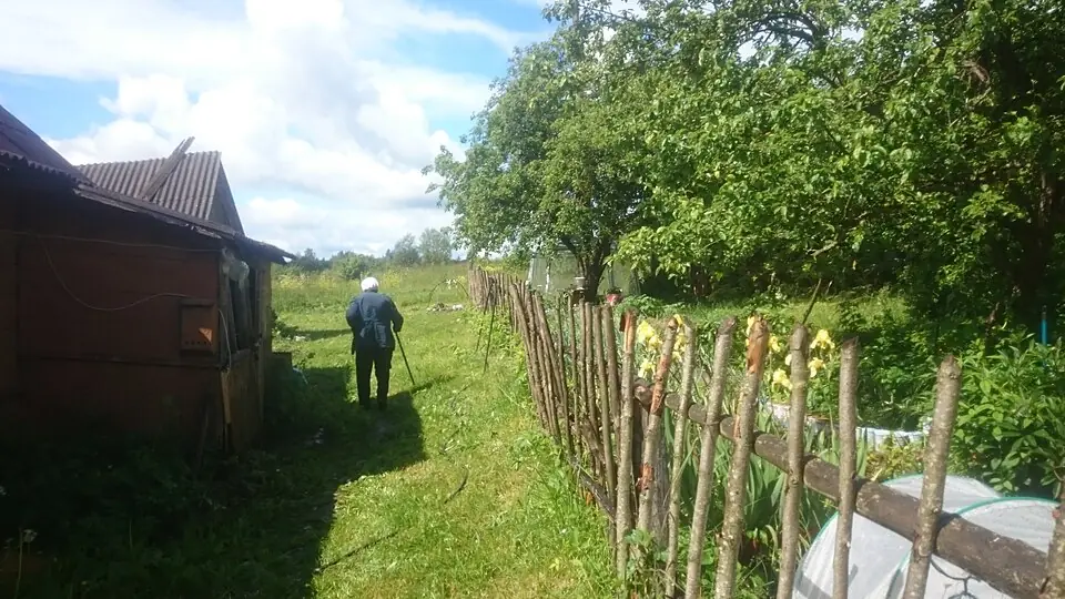 Двор в деревне Липец Псковской области