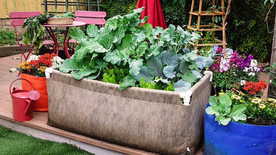 PVC-Farme Smart Pot Urban Raised Bed