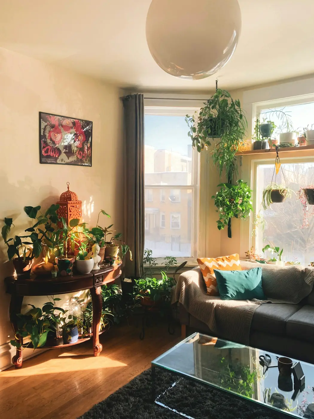 Green plants growing in a sunlit home garden setting